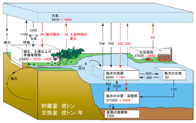 炭素循環の模式図