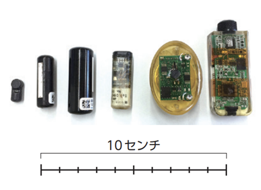 バイオロギングに用いられるロガーの例