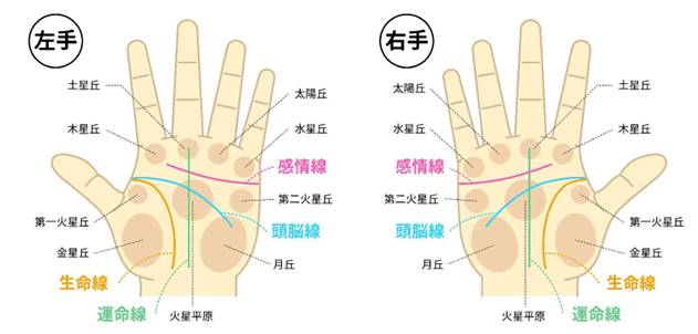 図2：手相