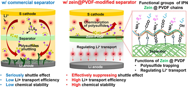 従来のリチウム硫黄電池と、今回の実験で試されたゼインとPVDF-HFPを追加したリチウム硫黄電池の違い