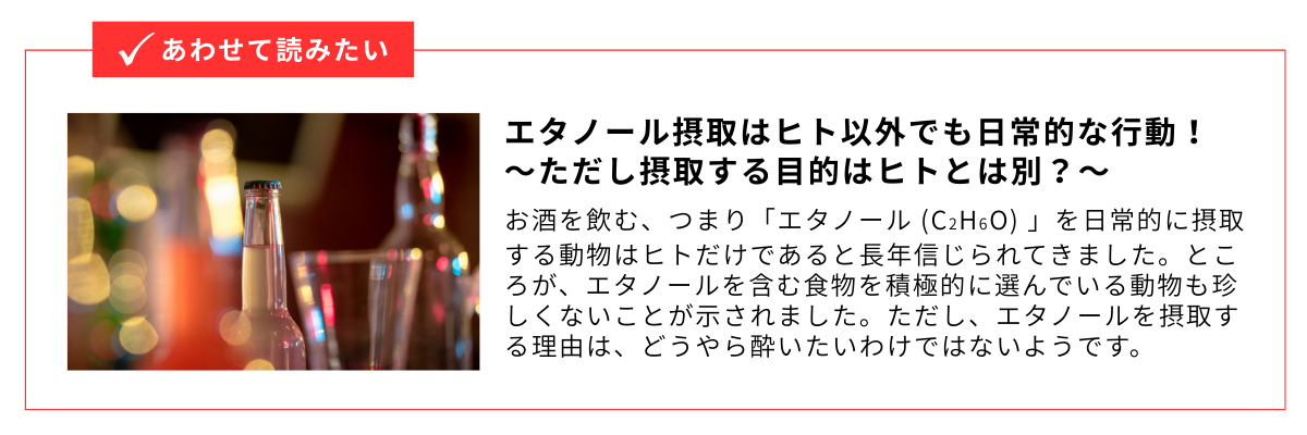 エタノール摂取はヒト以外でも日常的な行動！