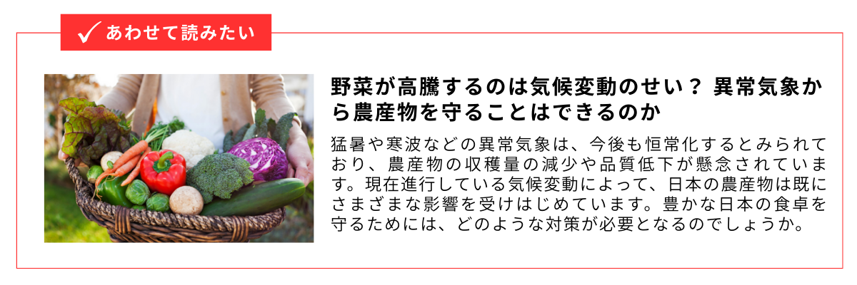 野菜が高騰するのは気候変動のせい？ 異常気象から農産物を守ることはできるのか_内部リンク用バナー