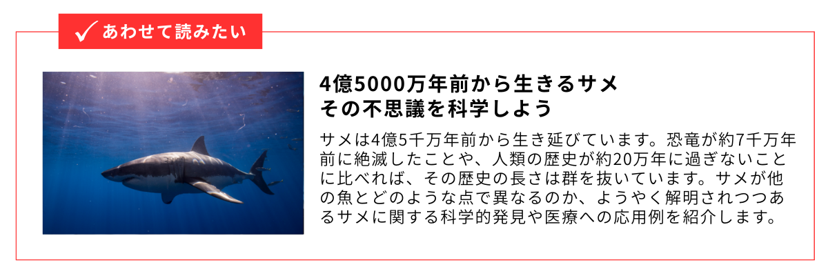 4億5000万年前から生きるサメ　その不思議を科学しよう_内部リンク用バナー