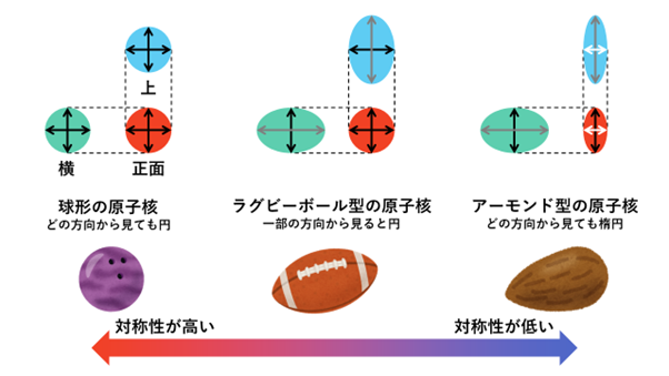 図2: 球形は最も対称性が高いため、全ての原子核は球形であると考えられてきました。しかし研究が進むにつれ、変形したラグビーボール型であることが分かってきましたが、今回はさらに対称性の低いアーモンド型が例示されています。 (Credit: 彩恵りり / いらすとやより画像を使用)
