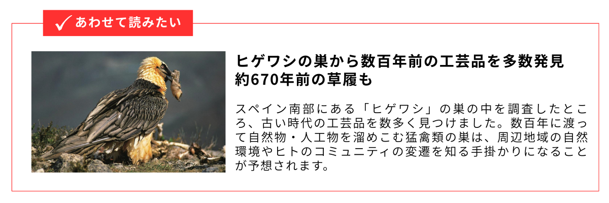 ヒゲワシの巣から数百年前の工芸品を多数発見_内部リンク用バナー