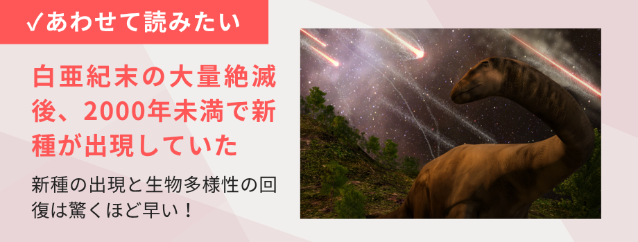 白亜紀末の大量絶滅後、2000年未満で新種が出現していた